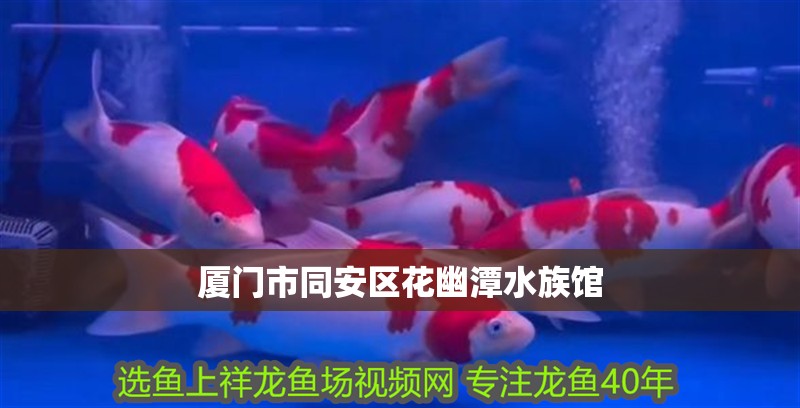 廈門市同安區花幽潭水族館