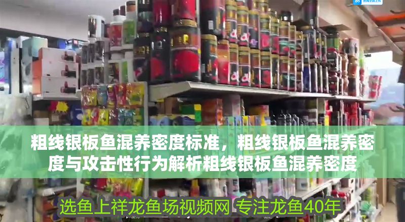 粗線銀板魚混養(yǎng)密度標(biāo)準(zhǔn)，粗線銀板魚混養(yǎng)密度與攻擊性行為解析粗線銀板魚混養(yǎng)密度