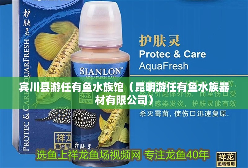 賓川縣游任有魚水族館（昆明游任有魚水族器材有限公司）