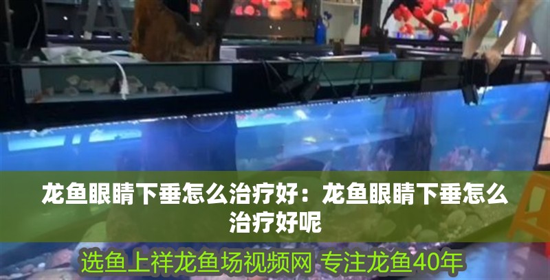 龍魚眼睛下垂怎么治療好：龍魚眼睛下垂怎么治療好呢