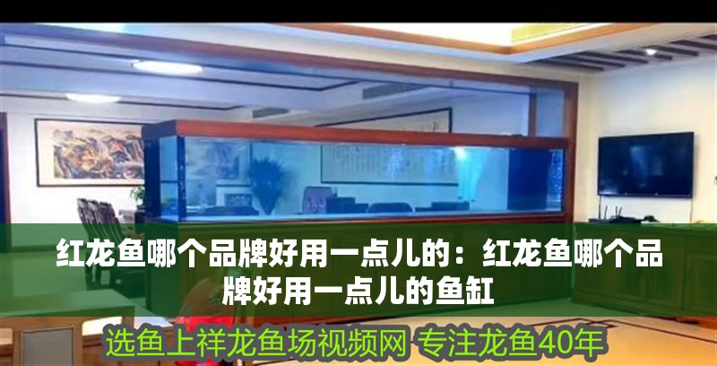 紅龍魚哪個品牌好用一點兒的：紅龍魚哪個品牌好用一點兒的魚缸 紅龍魚哪個品牌好用一點兒的：紅龍魚哪個品牌好用一點兒的魚缸 水族問答