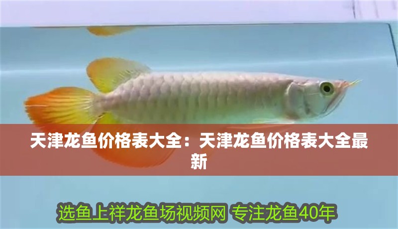 天津龍魚價格表大全:天津龍魚價格表大全最新 水族問答 天津龍魚價格表大全:天津龍魚價格表大全最新 天津龍魚價格表大全:天津龍魚價格表大全最新 水族問答