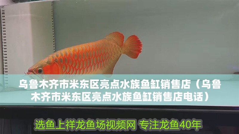 烏魯木齊市米東區亮點水族魚缸銷售店（烏魯木齊市米東區亮點水族魚缸銷售店電話）