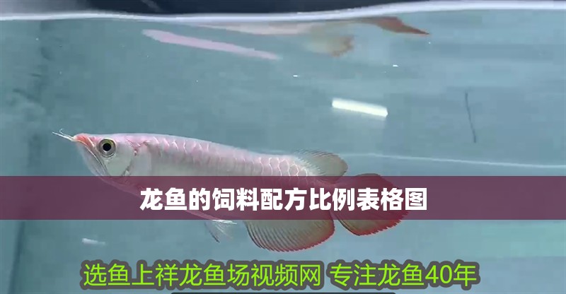 洛川小偉水族館（洛川小偉水族館電話）