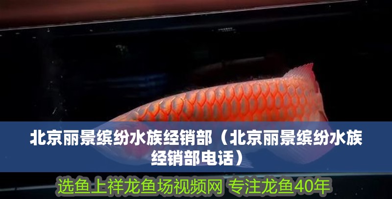 北京麗景繽紛水族經(jīng)銷部（北京麗景繽紛水族經(jīng)銷部電話） 北京麗景繽紛水族經(jīng)銷部（北京麗景繽紛水族經(jīng)銷部電話） 全國水族館企業(yè)名錄 第2張
