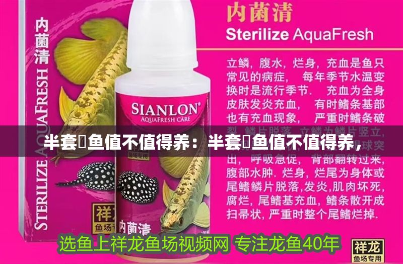 半套魟魚值不值得養：半套魟魚值不值得養，