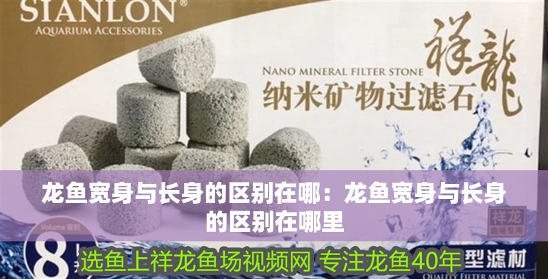 龍魚寬身與長身的區別在哪：龍魚寬身與長身的區別在哪里