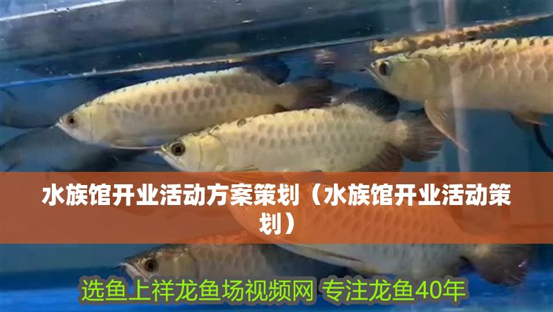 水族館開業活動方案策劃（水族館開業活動策劃）