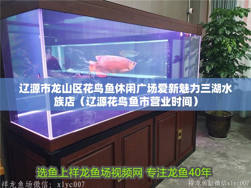遼源市龍山區(qū)花鳥魚休閑廣場愛新魅力三湖水族店（遼源花鳥魚市營業(yè)時(shí)間）