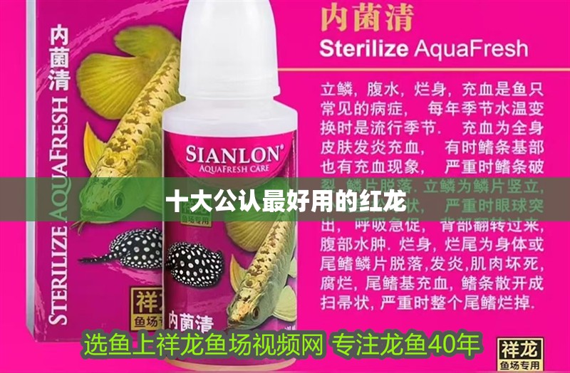 十大公認最好用的紅龍