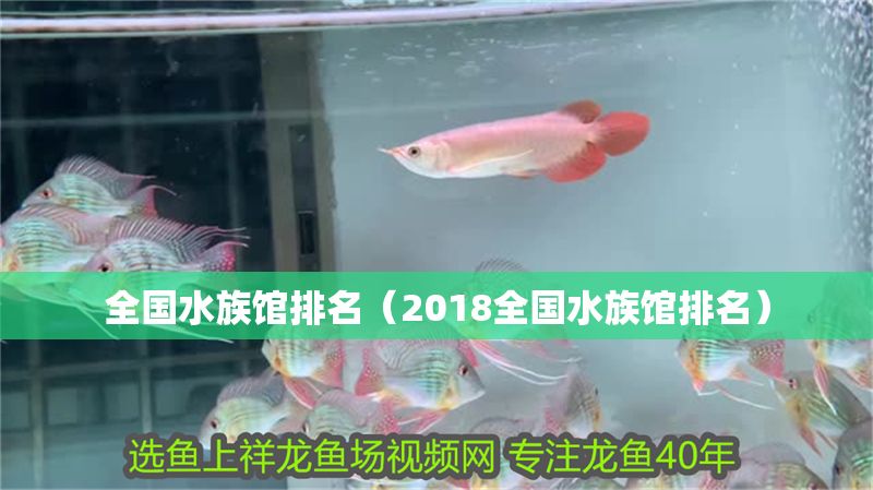 全國(guó)水族館排名（2018全國(guó)水族館排名）