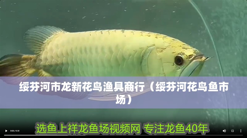 綏芬河市龍新花鳥漁具商行（綏芬河花鳥魚市場）
