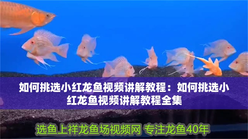 初次使用魚缸注意事項：新買的魚缸使用前需要注意事項和注意事項和注意事項