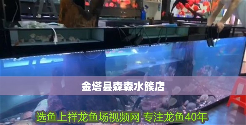 金塔縣森森水簇店 金塔縣森森水簇店 全國水族館企業(yè)名錄 第2張