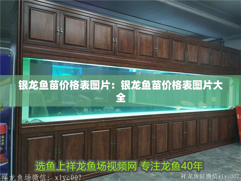 銀龍魚苗價格表圖片：銀龍魚苗價格表圖片大全