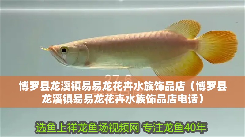 博羅縣龍溪鎮易易龍花卉水族飾品店（博羅縣龍溪鎮易易龍花卉水族飾品店電話） 博羅縣龍溪鎮易易龍花卉水族飾品店（博羅縣龍溪鎮易易龍花卉水族飾品店電話） 全國水族館企業名錄 第2張