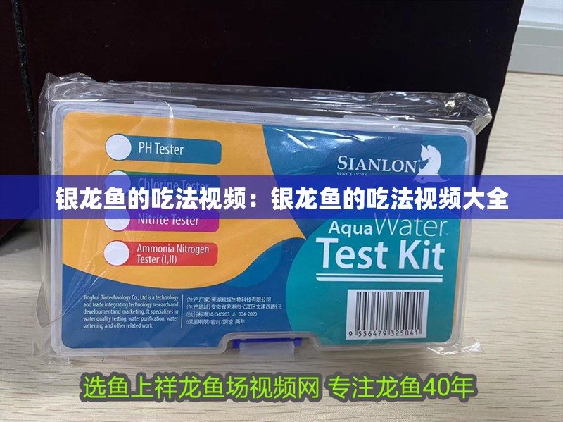 銀龍魚的吃法視頻：銀龍魚的吃法視頻大全 銀龍魚的吃法視頻：銀龍魚的吃法視頻大全 水族問答