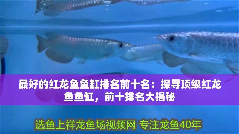 最好的紅龍魚魚缸排名前十名：探尋頂級紅龍魚魚缸，前十排名大揭秘