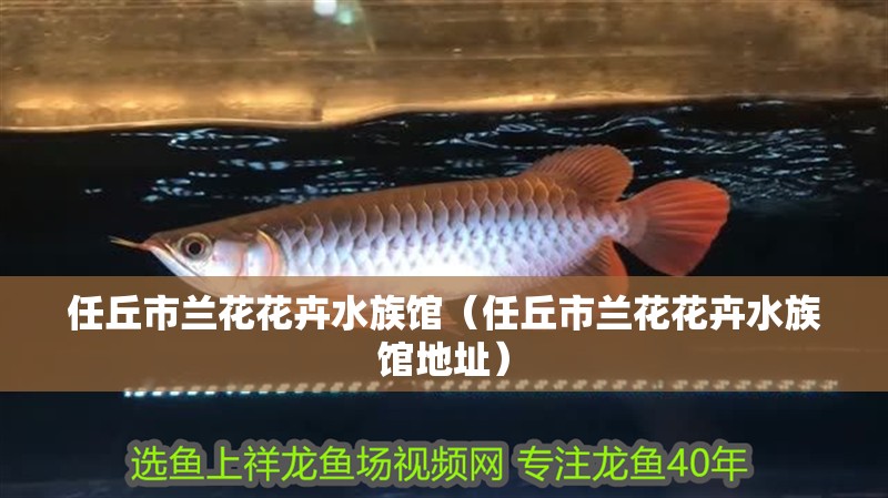 任丘市蘭花花卉水族館（任丘市蘭花花卉水族館地址）