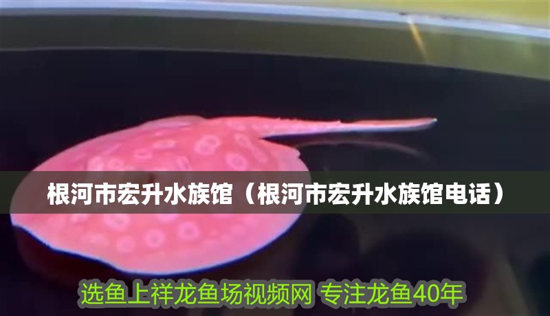 根河市宏升水族館（根河市宏升水族館電話）