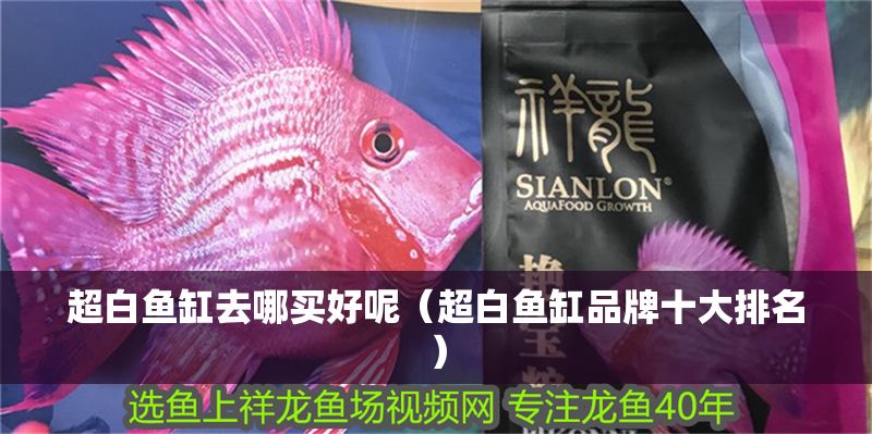 超白魚缸去哪買好呢（超白魚缸品牌十大排名）