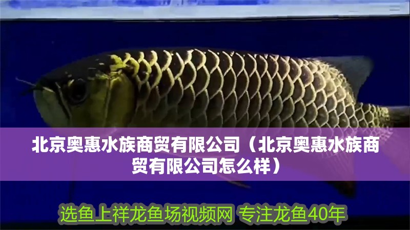 北京奧惠水族商貿(mào)有限公司（北京奧惠水族商貿(mào)有限公司怎么樣）