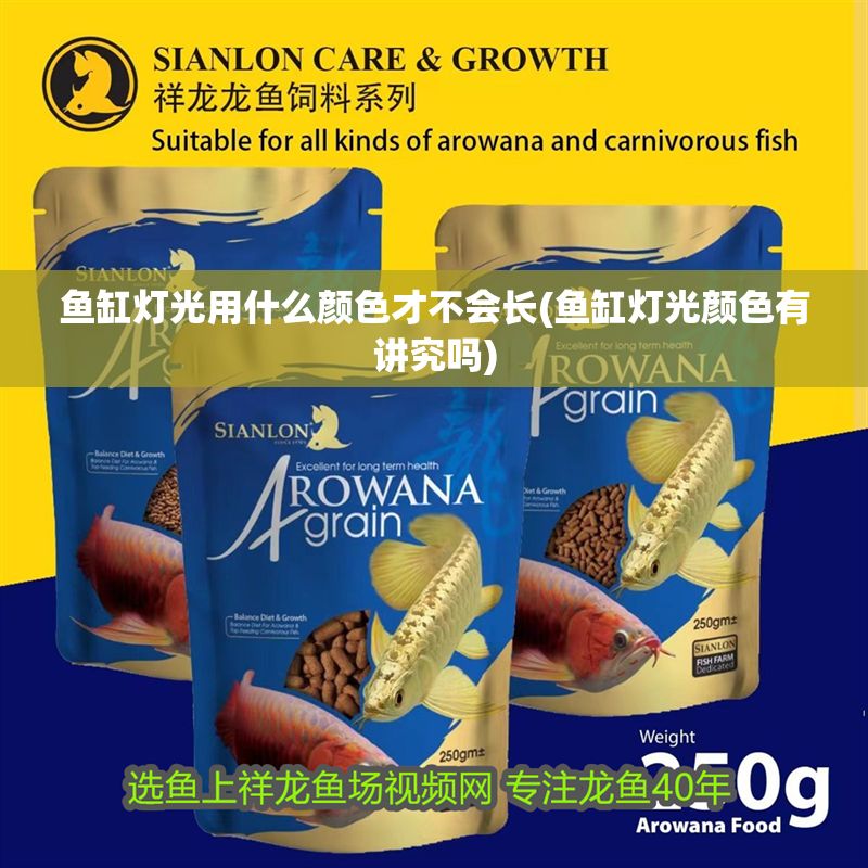 一夜龍魚舞是哪個節日（鳳簫聲動 玉壺光轉 一夜魚龍舞描繪的是個）