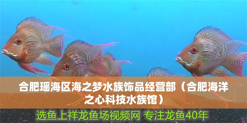 合肥瑤海區(qū)海之夢(mèng)水族飾品經(jīng)營(yíng)部（合肥海洋之心科技水族館）