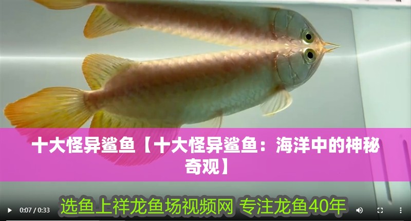 十大怪異鯊魚【十大怪異鯊魚：海洋中的神秘奇觀】