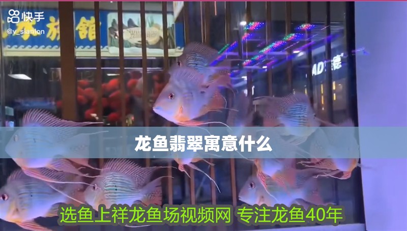 龍魚翡翠寓意什么