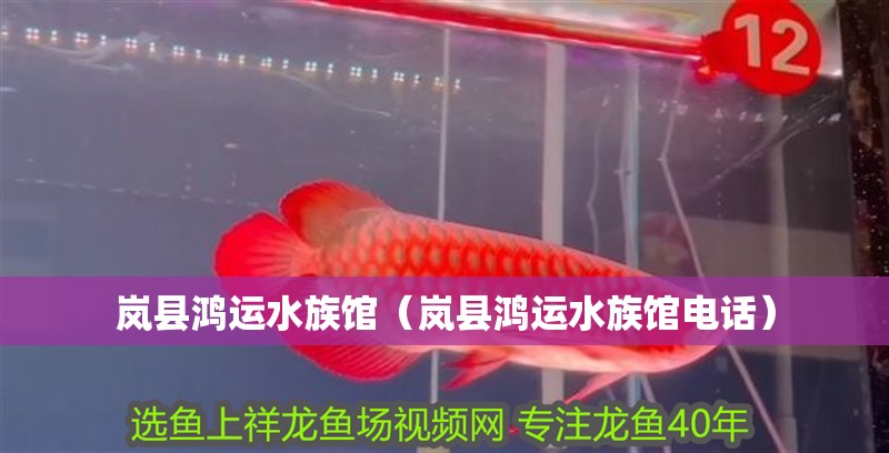 嵐縣鴻運水族館（嵐縣鴻運水族館電話） 嵐縣鴻運水族館（嵐縣鴻運水族館電話） 全國水族館企業名錄 第2張