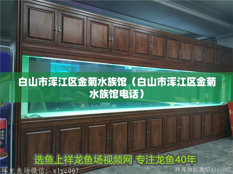白山市渾江區金菊水族館（白山市渾江區金菊水族館電話）