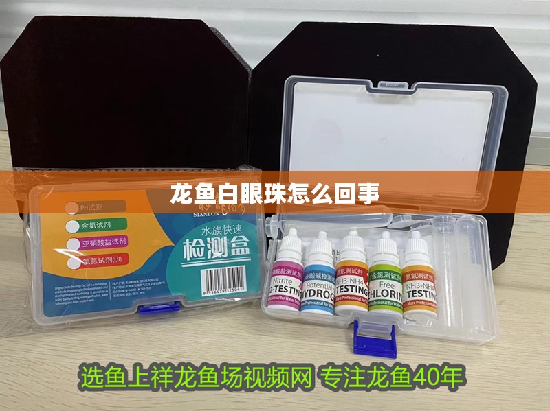 龍魚白眼珠怎么回事 龍魚白眼珠怎么回事 龍魚百科 第3張