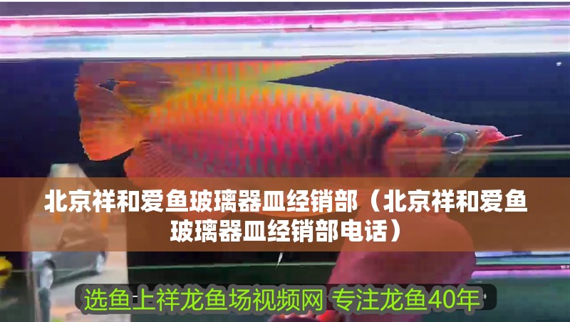 北京祥和愛魚玻璃器皿經銷部（北京祥和愛魚玻璃器皿經銷部電話）