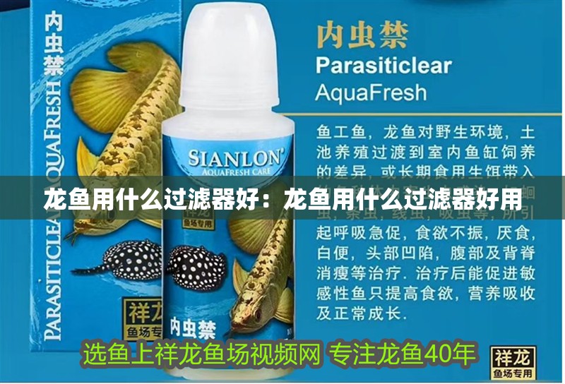 龍魚用什么過濾器好：龍魚用什么過濾器好用