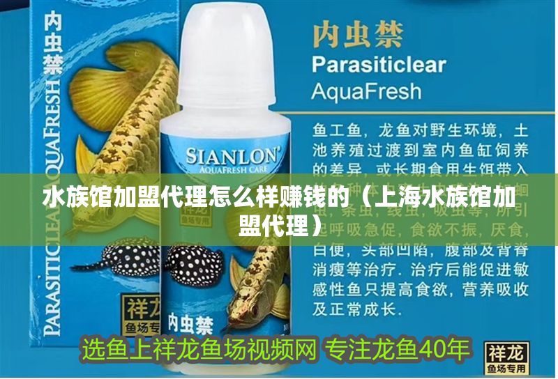 水族館加盟代理怎么樣賺錢的（上海水族館加盟代理）