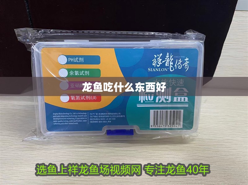 龍魚吃什么東西好