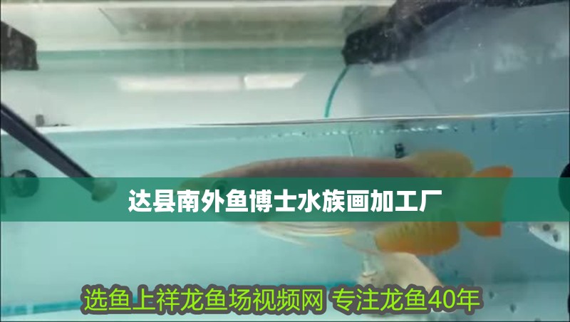 達縣南外魚博士水族畫加工廠