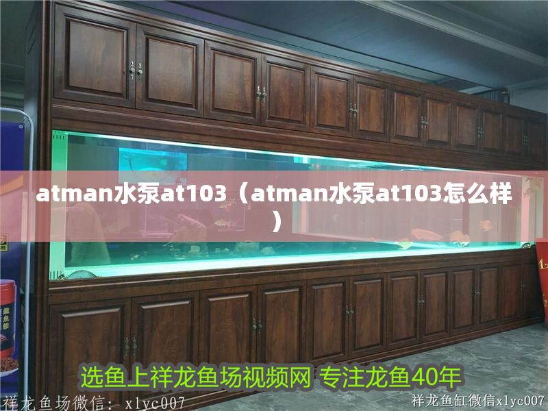 atman水泵at103(atman水泵at103怎么樣) 元寶鳳凰魚百科 第2張 atman水泵at103(atman水泵at103怎么樣) atman水泵at103(atman水泵at103怎么樣) 元寶鳳凰魚百科 第2張