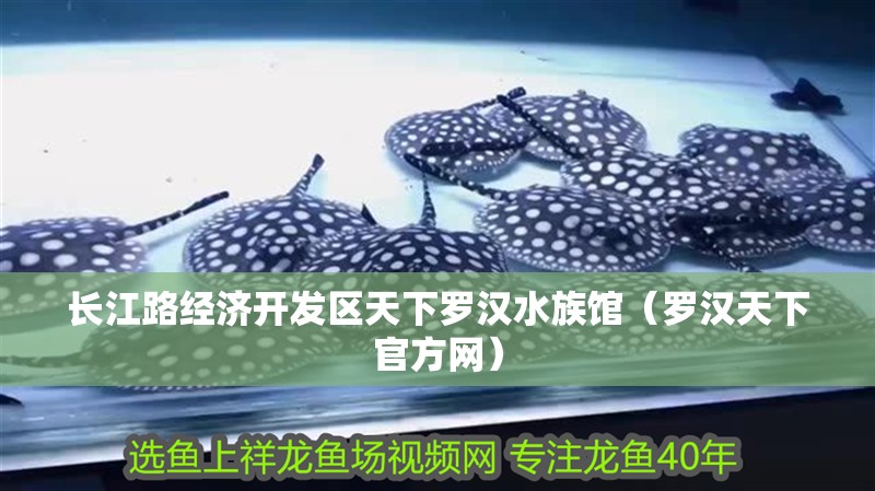 長江路經濟開發區天下羅漢水族館（羅漢天下官方網） 長江路經濟開發區天下羅漢水族館（羅漢天下官方網） 全國水族館企業名錄 第2張