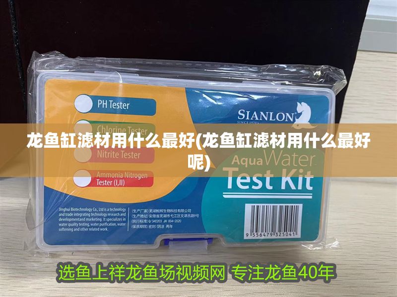 龍魚缸濾材用什么最好(龍魚缸濾材用什么最好呢)