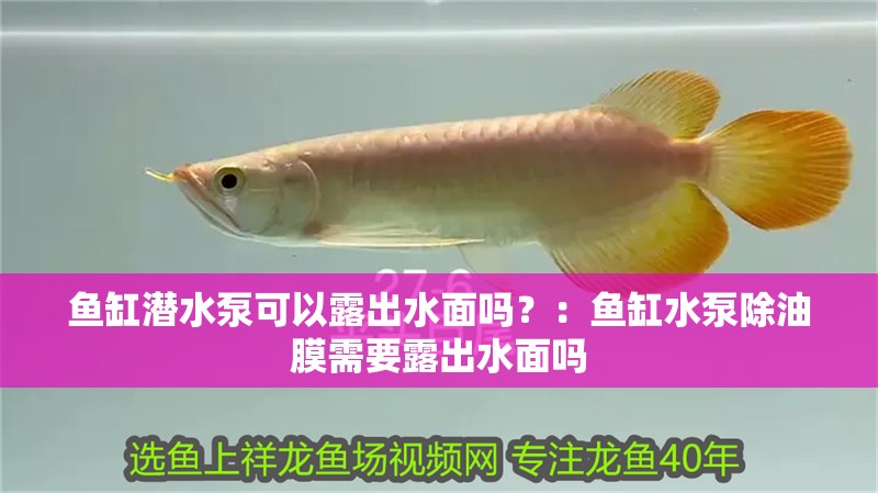 魚缸潛水泵可以露出水面嗎？：魚缸水泵除油膜需要露出水面嗎