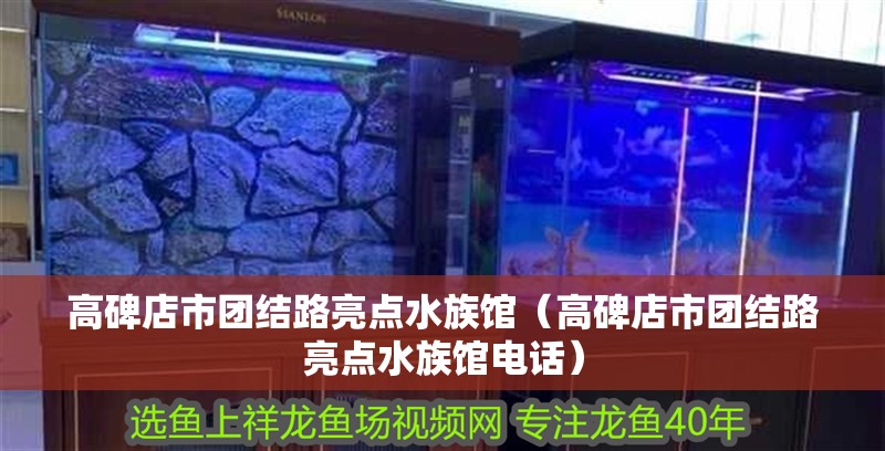 高碑店市團(tuán)結(jié)路亮點(diǎn)水族館（高碑店市團(tuán)結(jié)路亮點(diǎn)水族館電話）
