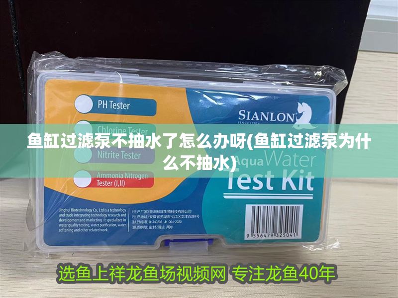 魚缸過濾泵不抽水了怎么辦呀(魚缸過濾泵為什么不抽水) 魚缸過濾泵不抽水了怎么辦呀(魚缸過濾泵為什么不抽水) 元寶鳳凰魚百科 第1張