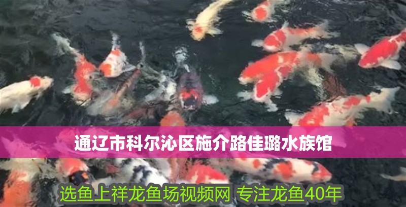 通遼市科爾沁區施介路佳璐水族館