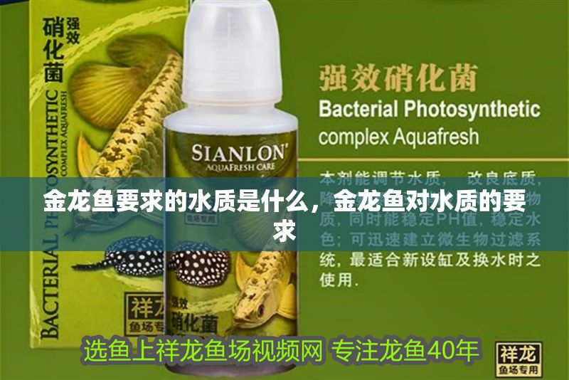 金龍魚要求的水質是什么，金龍魚對水質的要求