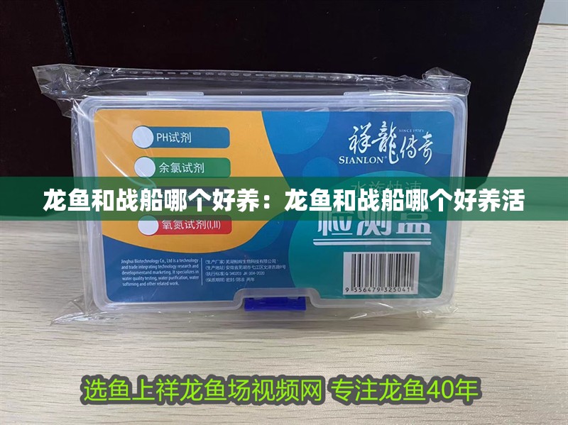 龍魚和戰船哪個好養：龍魚和戰船哪個好養活