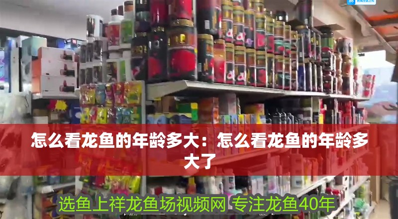 怎么看龍魚的年齡多大：怎么看龍魚的年齡多大了