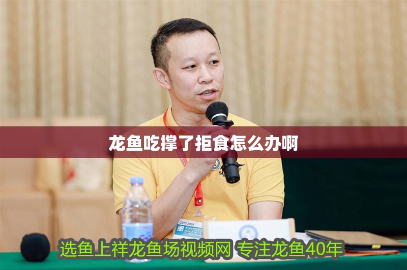 龍魚吃撐了拒食怎么辦啊
