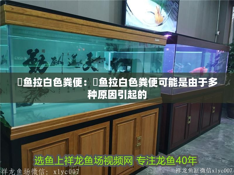 魟魚拉白色糞便：魟魚拉白色糞便可能是由于多種原因引起的 魟魚拉白色糞便：魟魚拉白色糞便可能是由于多種原因引起的 魟魚百科 第1張